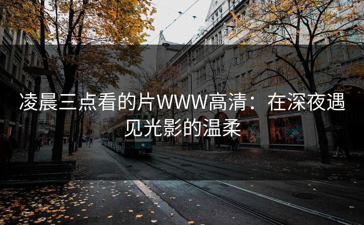 凌晨三点看的片WWW高清：在深夜遇见光影的温柔