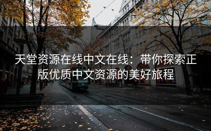 天堂资源在线中文在线：带你探索正版优质中文资源的美好旅程