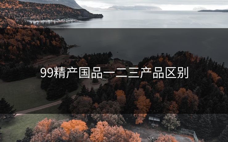 99精产国品一二三产品区别