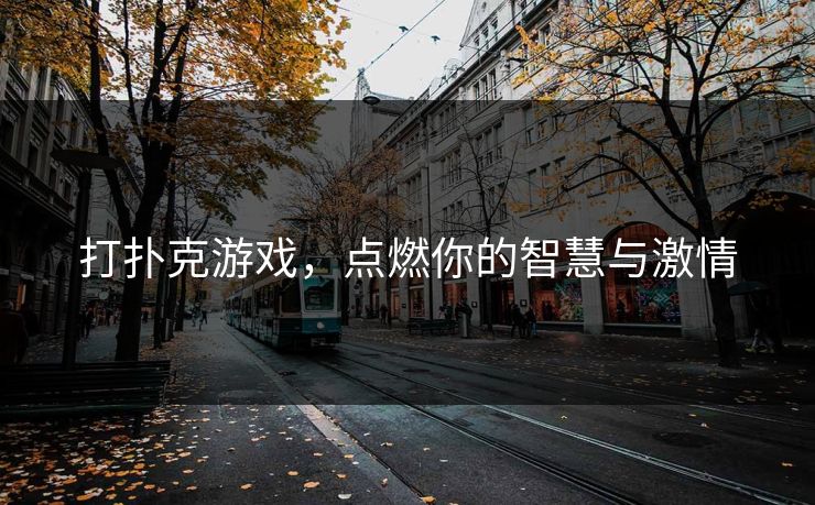 打扑克游戏，点燃你的智慧与激情