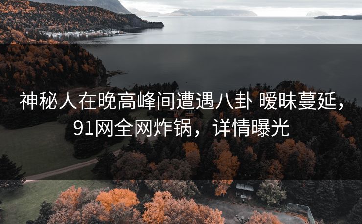 神秘人在晚高峰间遭遇八卦 暧昧蔓延，91网全网炸锅，详情曝光