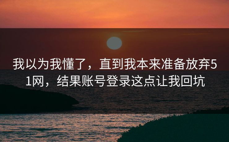 我以为我懂了，直到我本来准备放弃51网，结果账号登录这点让我回坑