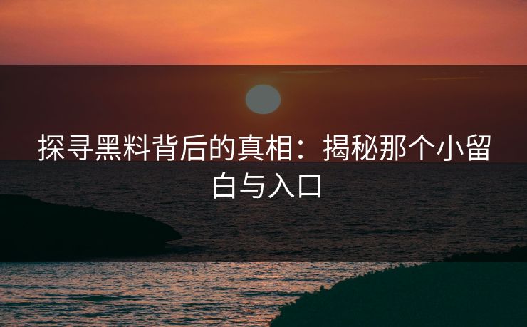 探寻黑料背后的真相：揭秘那个小留白与入口