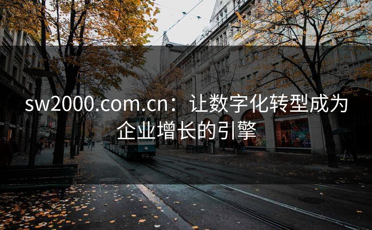 sw2000.com.cn：让数字化转型成为企业增长的引擎